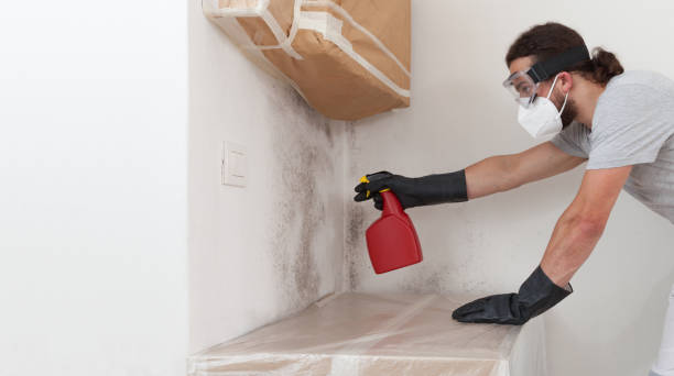 Professional Bathroom Mold Removal technician working in Aydlett, NC